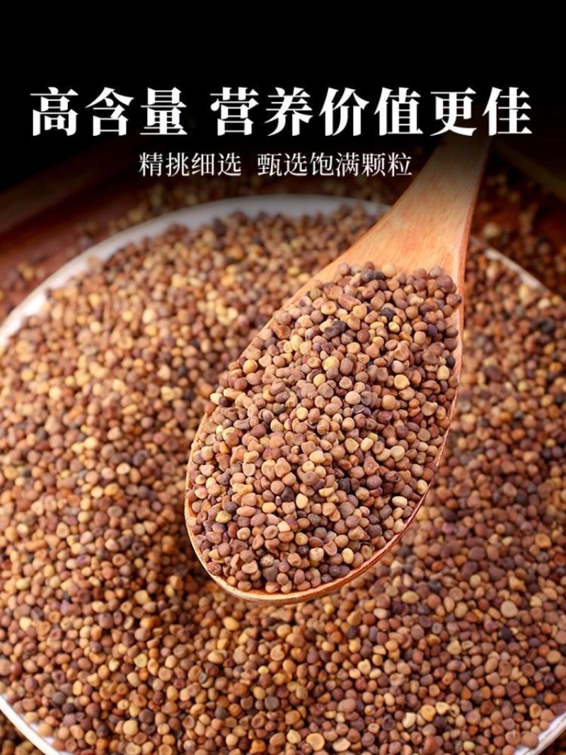 菟丝子中药材菟丝子内蒙原产兔丝子男泡酒茶