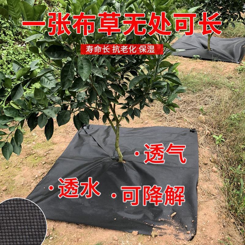 【厂家直销】打孔防草布除草布抗老化除草垫果园盖草布膜农用