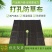 除草布防草布抗老化除草垫果园盖草布膜农用园艺(厂家直销)
