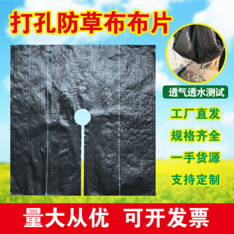 除草布防草布抗老化除草垫果园盖草布膜农用园艺(厂家直销)