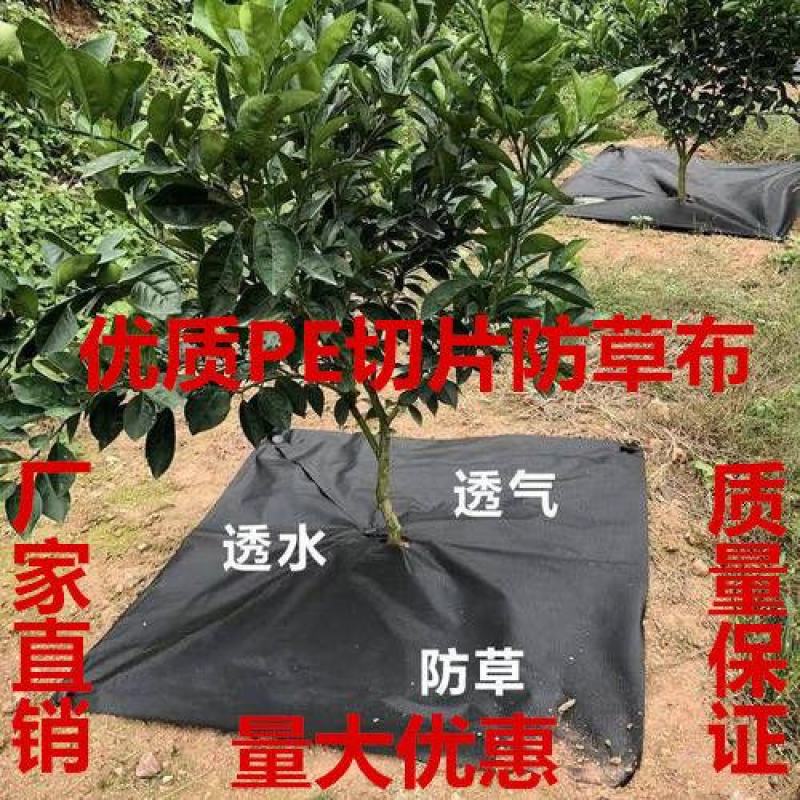 除草布防草布抗老化除草垫果园盖草布膜农用园艺(厂家直销)