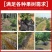除草布防草布抗老化除草垫果园盖草布膜农用园艺(厂家直销)