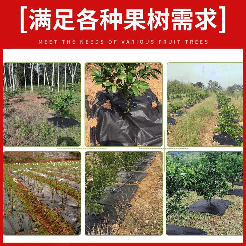 除草布防草布抗老化除草垫果园盖草布膜农用园艺(厂家直销)