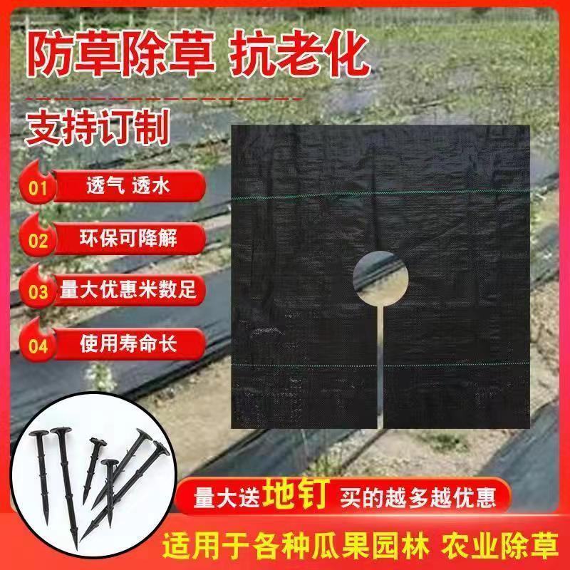 除草布防草布抗老化除草垫果园盖草布膜农用园艺(厂家直销)