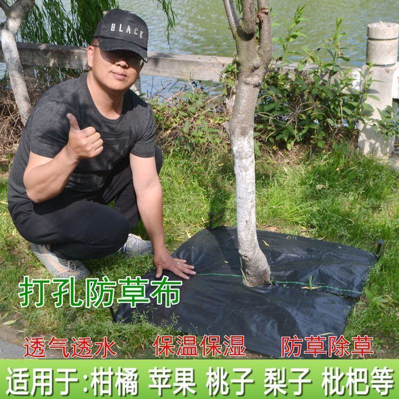 除草布防草布抗老化除草垫果园盖草布膜农用园艺(厂家直销)