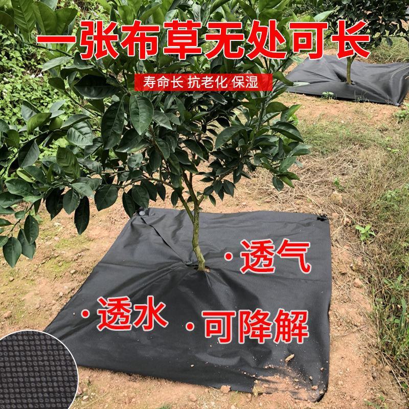 除草布防草布抗老化除草垫果园盖草布膜农用园艺(厂家直销)