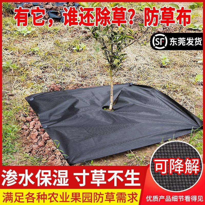 除草布防草布抗老化除草垫果园盖草布膜农用园艺(厂家直销)