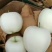 辽宁绥中、源头产地、黄元帅苹果、金帅苹果、