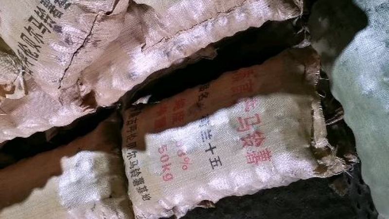 【特选】荷兰十五大量上市产地直供诚信经营优质服务实供