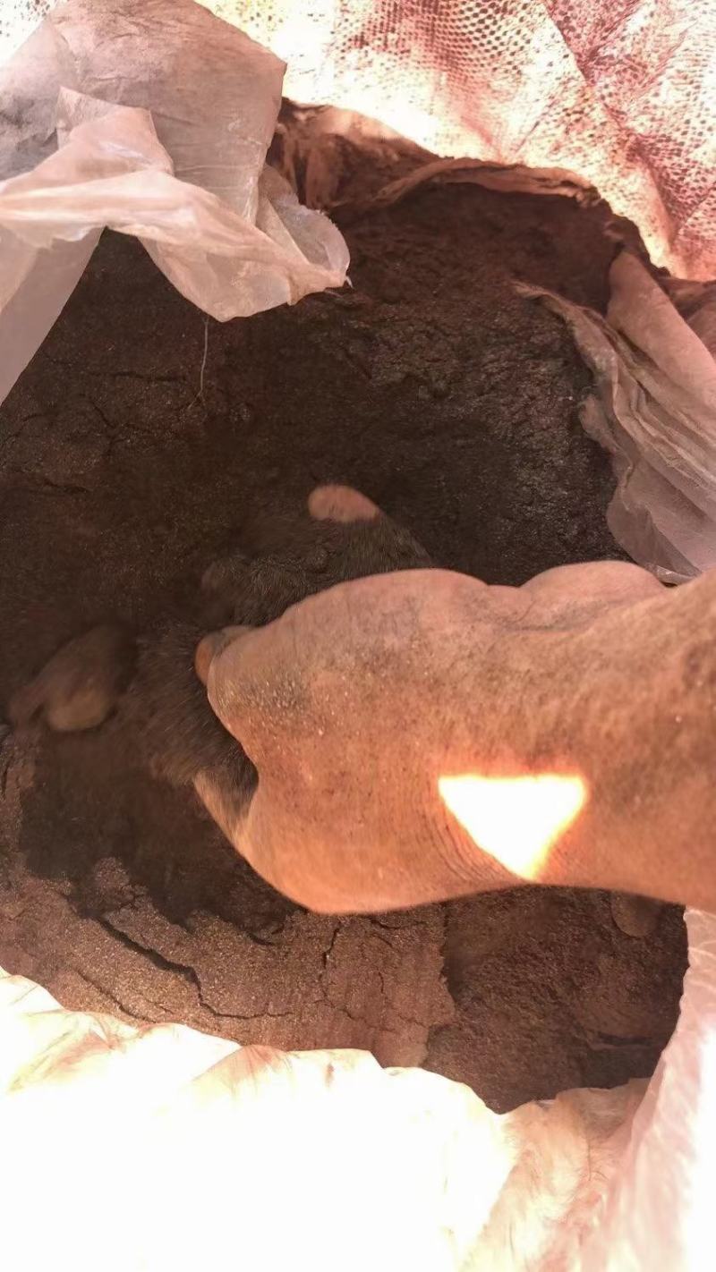 阿维菌素药渣有机肥粮食发酵纯羊粪有机肥鸡粪干一吨也是批发