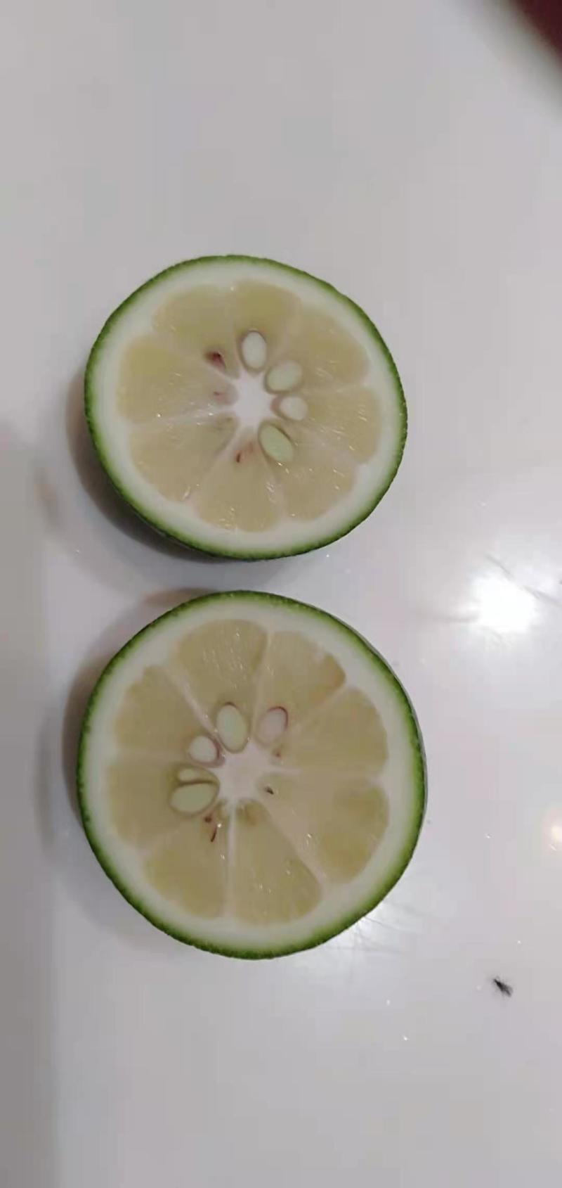 青柠檬水柠檬产地直销可供商超支持电商一件代发