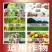 30%苯醚甲环唑丙环唑叶斑纹枯病黑斑病斑点落叶病锈病乳油