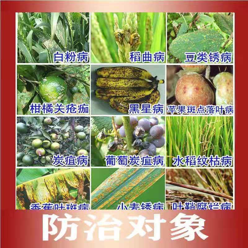 30%苯醚甲环唑丙环唑叶斑纹枯病黑斑病斑点落叶病锈病乳油