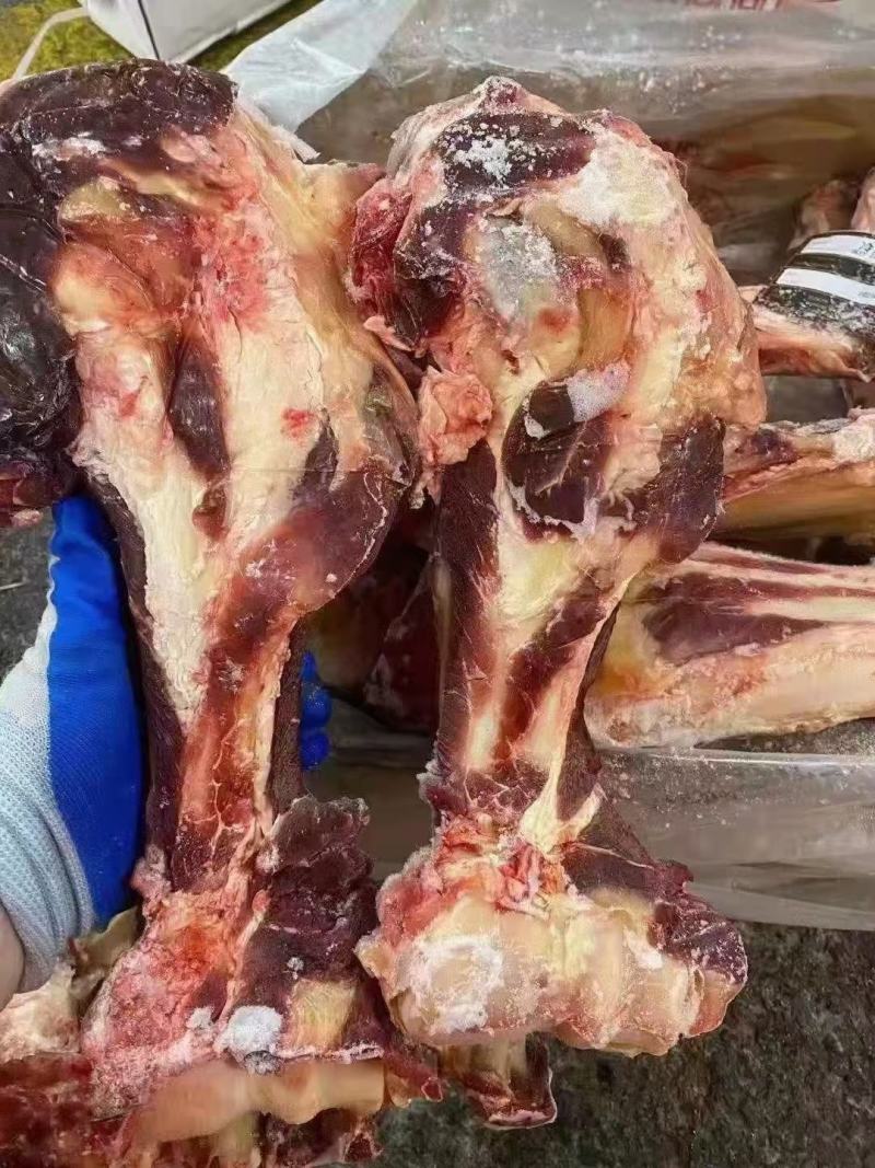 肉牛棒骨，满满的骨髓！吃肉，喝汤，吃骨髓！一举三得！
