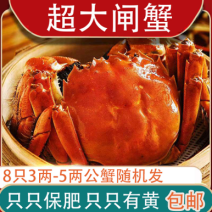 团购/电商/社区团购/企业福利3-5两/个共8只