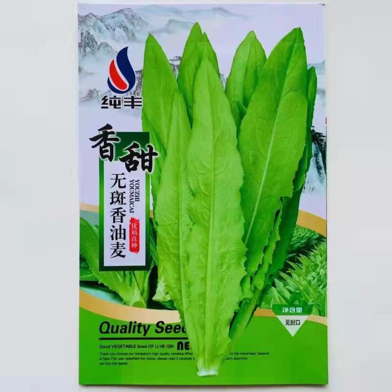 香甜油麦菜种子，油麦菜种子，香甜油麦菜种子油麦菜种子