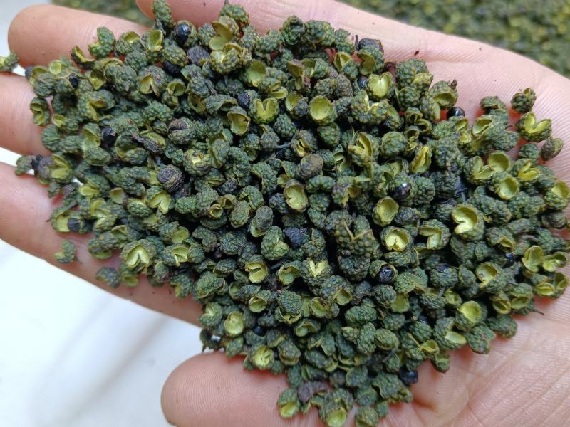 正宗江津区九叶青麻椒，麻香，长期有货，需要联系。