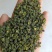 正宗江津区九叶青麻椒，麻香，长期有货，需要联系。
