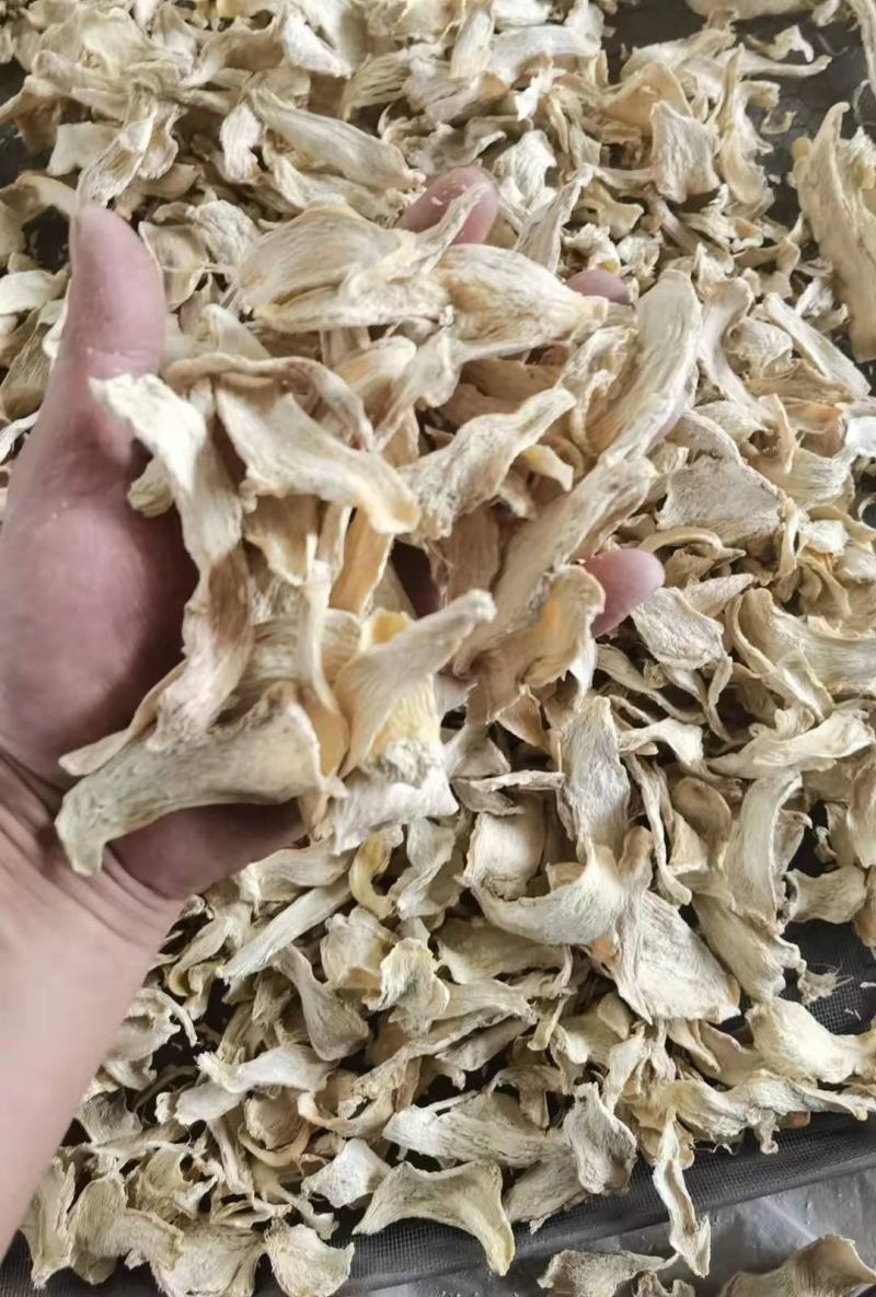 【小黄姜】山东优质生姜一手货源保质保量随到随装产地直供