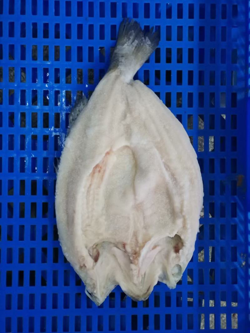 开背巴沙鱼，厂家直销一，一手货源，国内厂家生产，证件齐全
