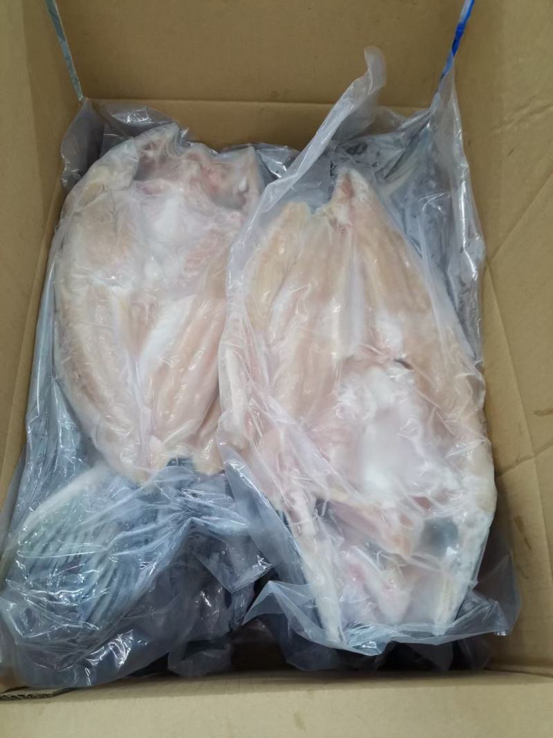 开背巴沙鱼，厂家直销一，一手货源，国内厂家生产，证件齐全