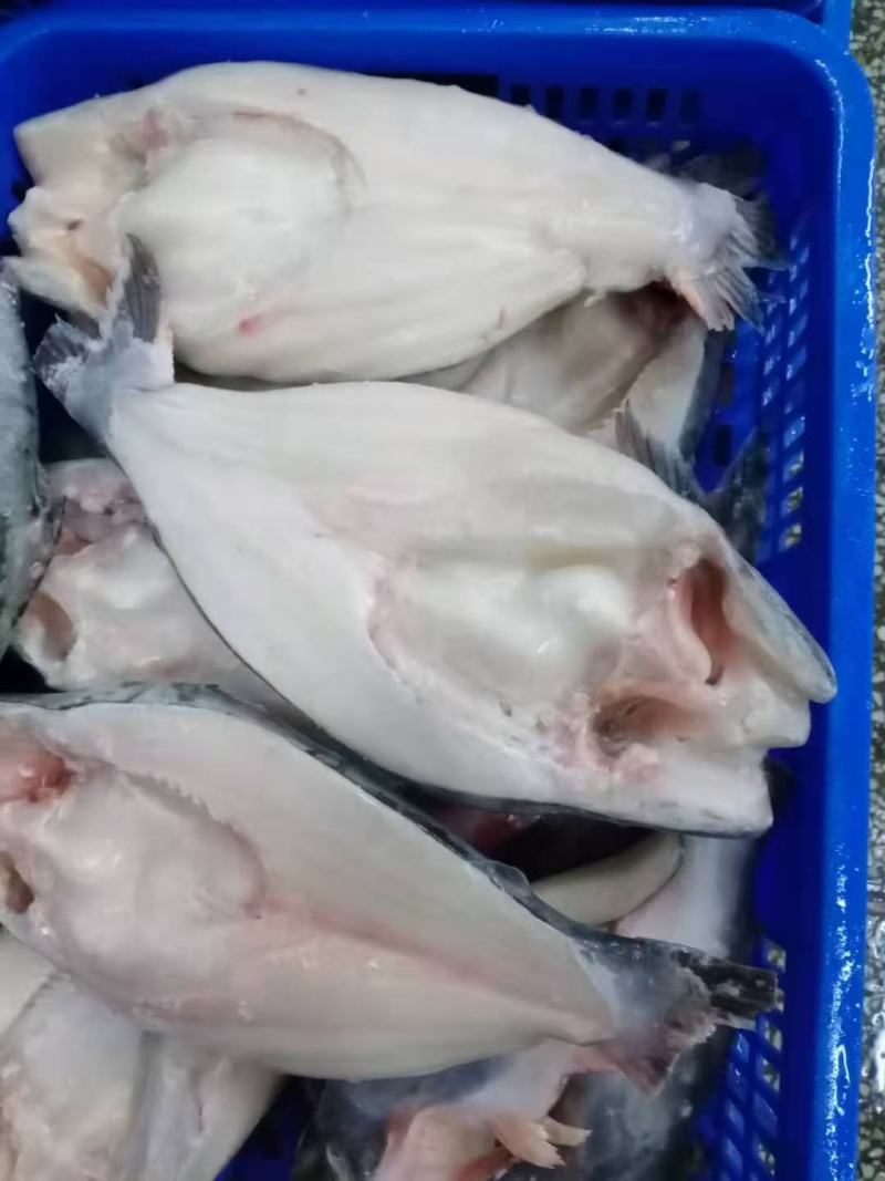 开背巴沙鱼，厂家直销一，一手货源，国内厂家生产，证件齐全