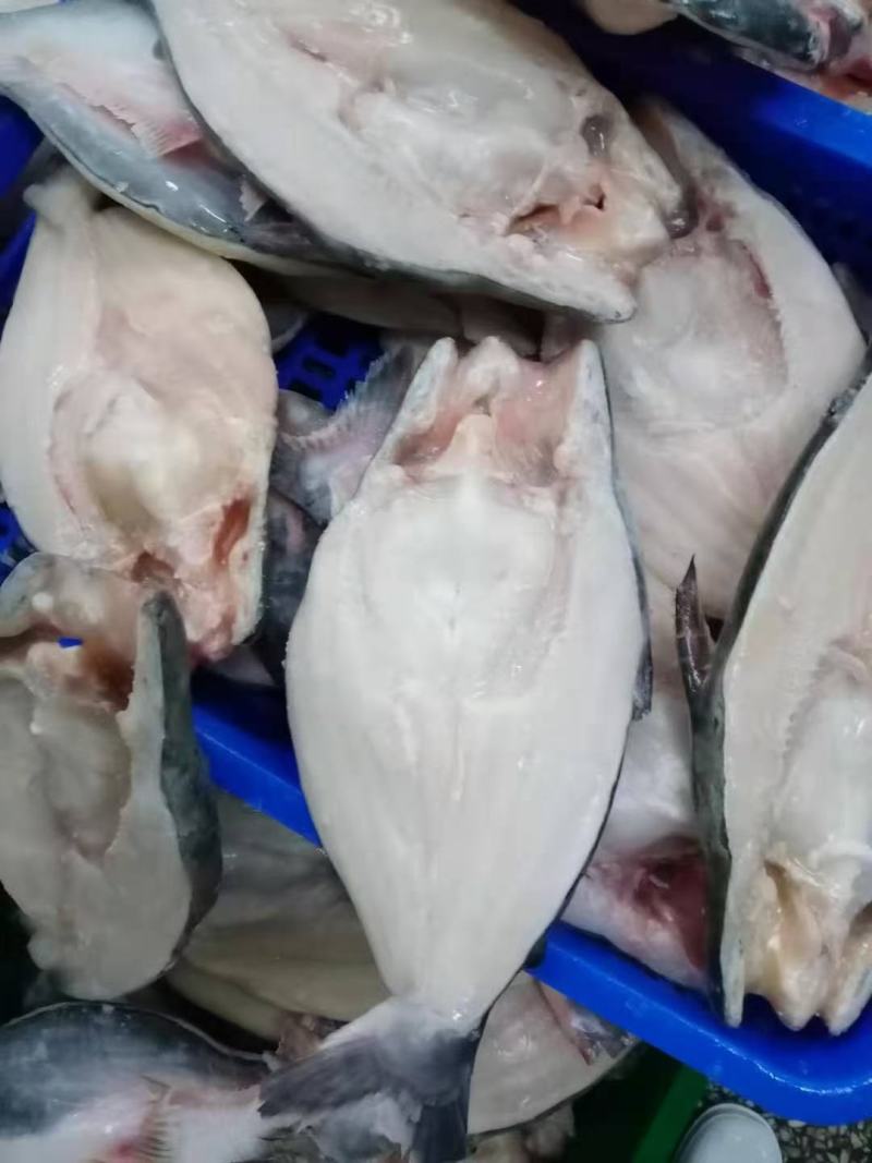 开背巴沙鱼，厂家直销一，一手货源，国内厂家生产，证件齐全