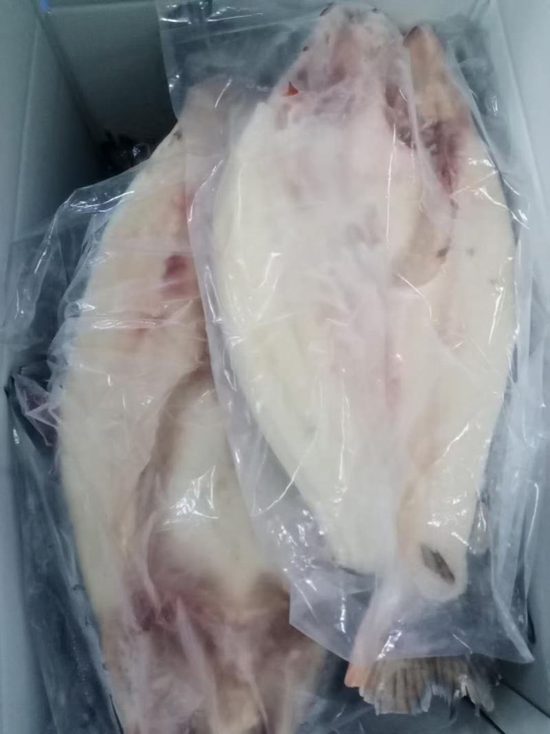 开背巴沙鱼，厂家直销一，一手货源，国内厂家生产，证件齐全