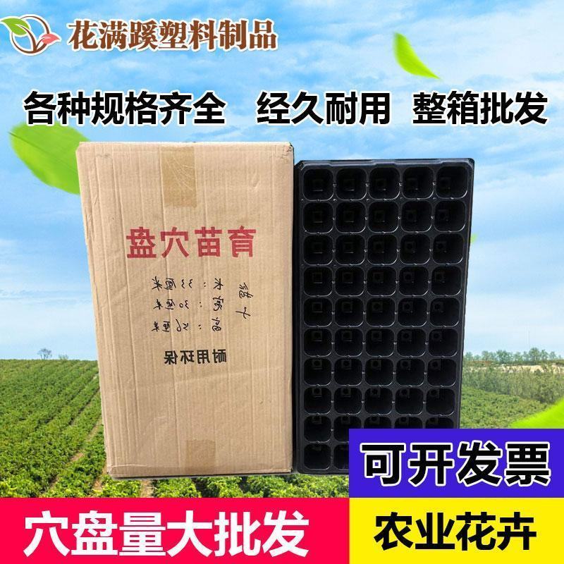 穴盘育苗盘辣椒茄子黄瓜多肉芽菜300片一箱(包运费)