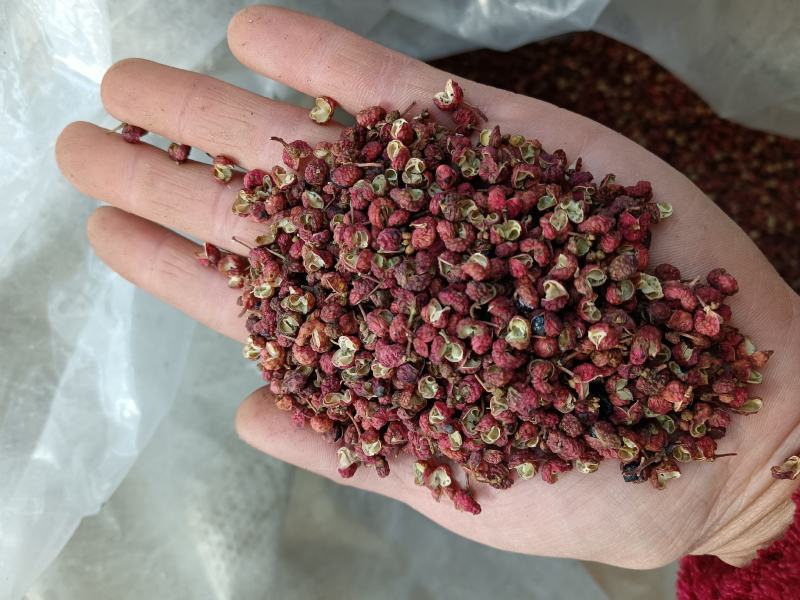 （特级精品）大红袍花椒一手货源、产地直销、量大优惠