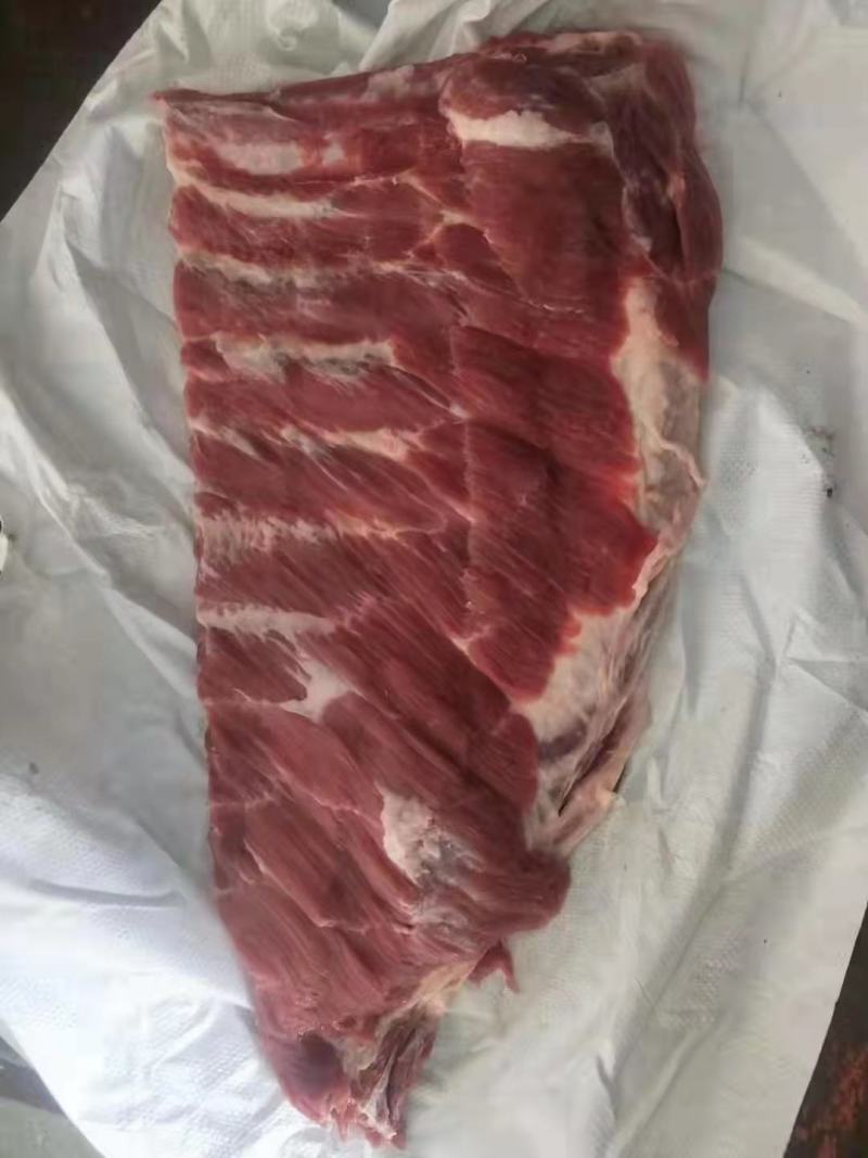 母猪肋排手续齐全厂家直销量大优惠欢迎新老客户咨询