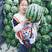 甜王西瓜，保熟保甜保质量，大量供应全国各地的客户！