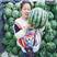 甜王西瓜，保熟保甜保质量，大量供应全国各地的客户！