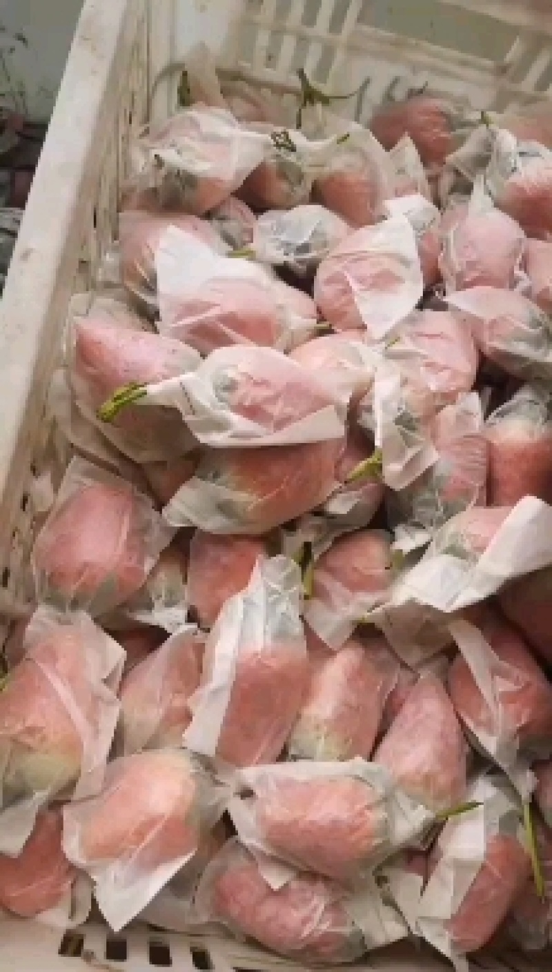 套袋免洗，孩子，孕妇，老人可拆袋免洗即食