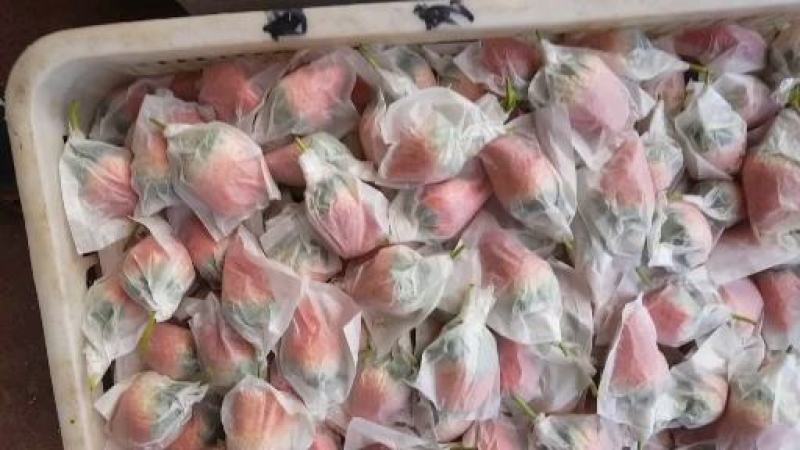 套袋免洗，孩子，孕妇，老人可拆袋免洗即食