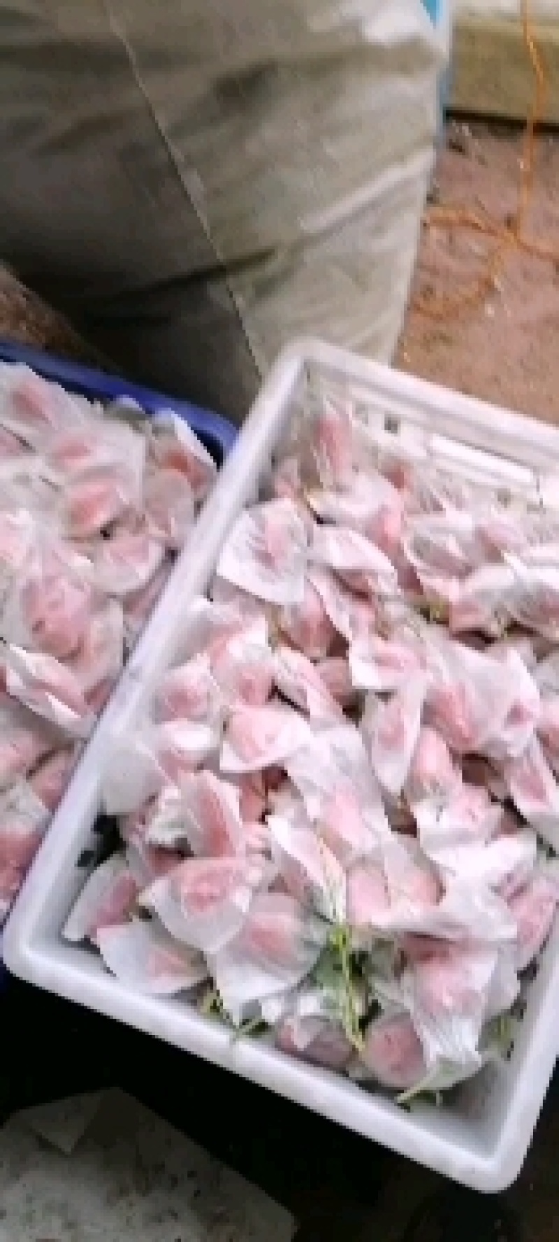 套袋免洗，孩子，孕妇，老人可拆袋免洗即食