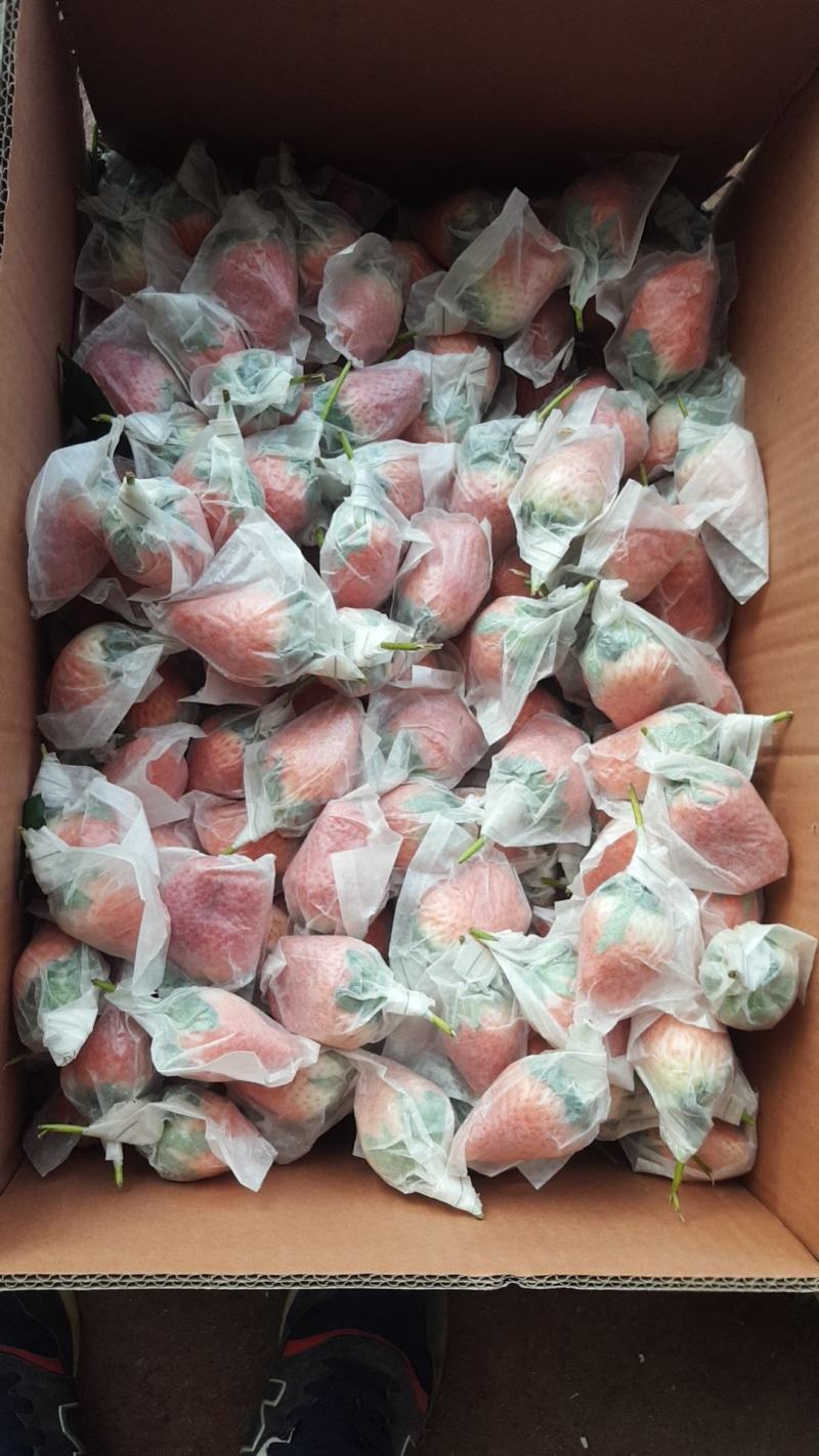 套袋免洗，孩子，孕妇，老人可拆袋免洗即食