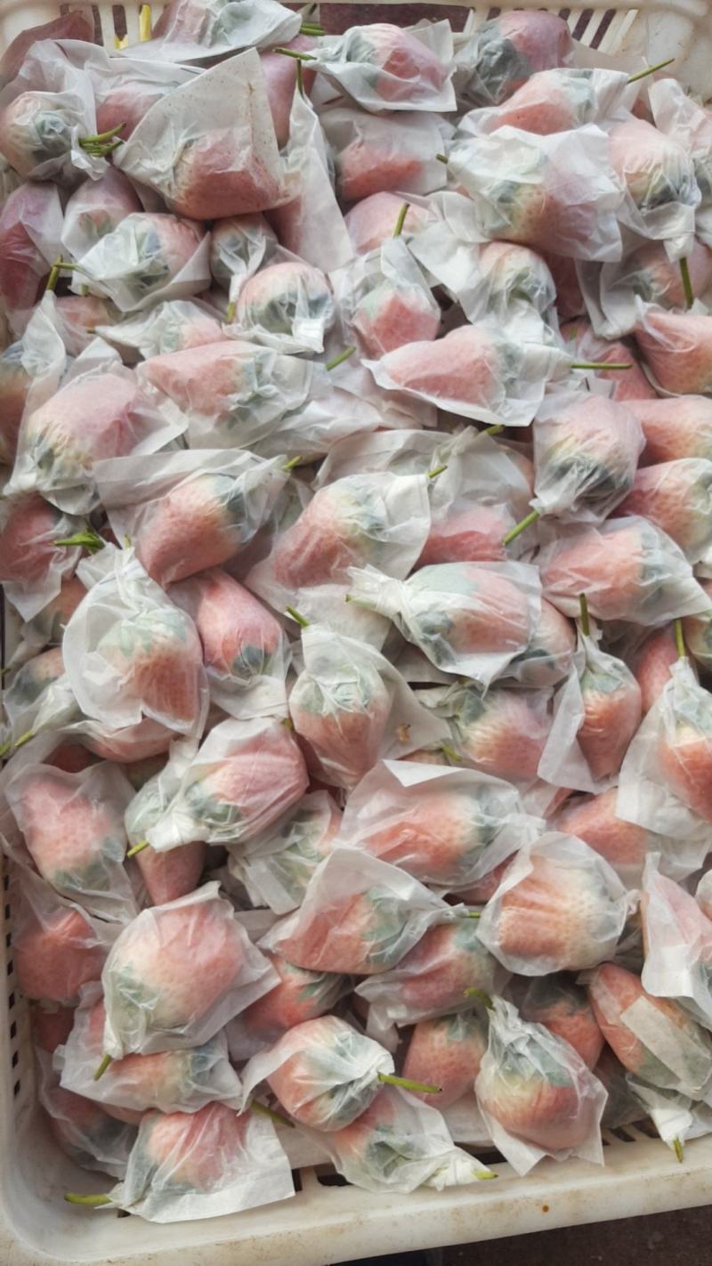 套袋免洗，孩子，孕妇，老人可拆袋免洗即食