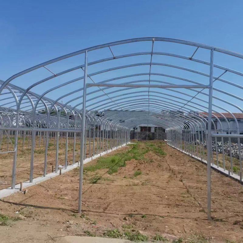 专业生产蔬菜种植大棚管型齐全全国发货包建