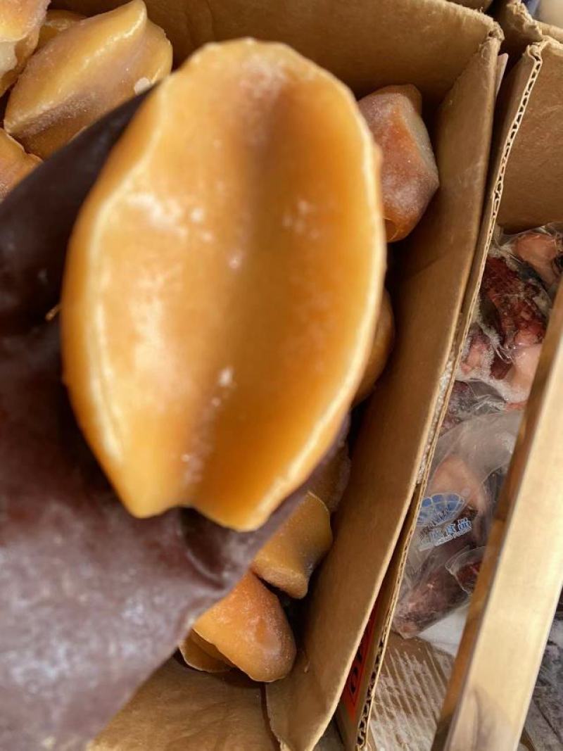 黄金澳鲍一手货源货量充足品质保证，可视频看货