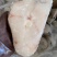 鲜冻鳕鱼片品质保证水产基地直供货量充足，量大价优