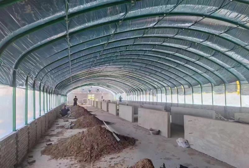 专业生产各种规格新型养殖大棚羊棚牛棚全国发货包建