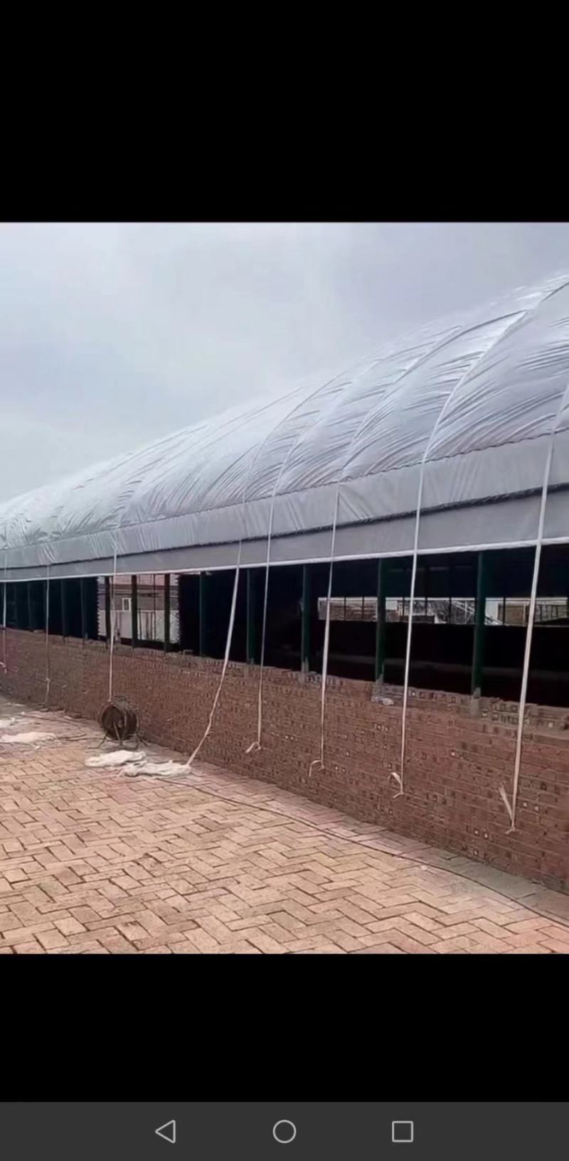 专业生产各种规格新型养殖大棚羊棚牛棚全国发货包建