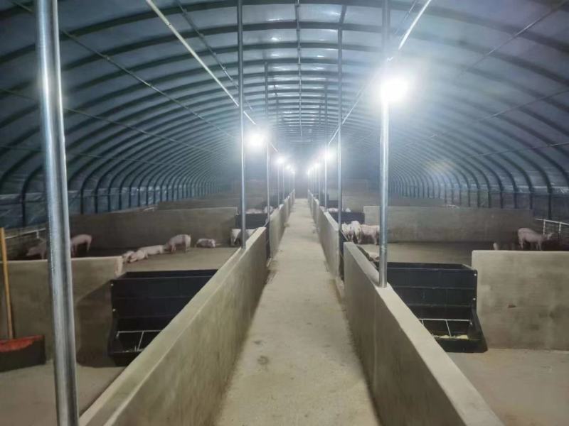 专业生产各种规格新型养殖大棚羊棚牛棚全国发货包建
