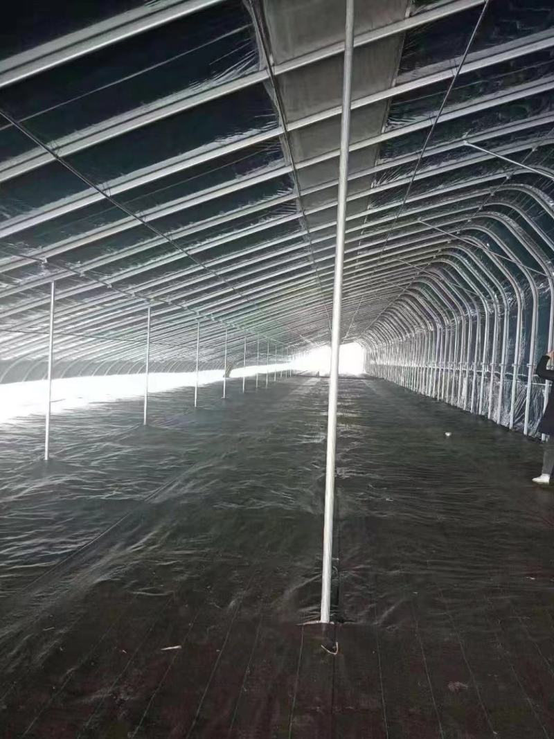 专业生产各种规格新型养殖大棚羊棚牛棚全国发货包建