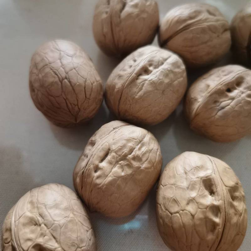 正宗新疆阿克苏薄皮核桃，皮薄肉香，原产地直发