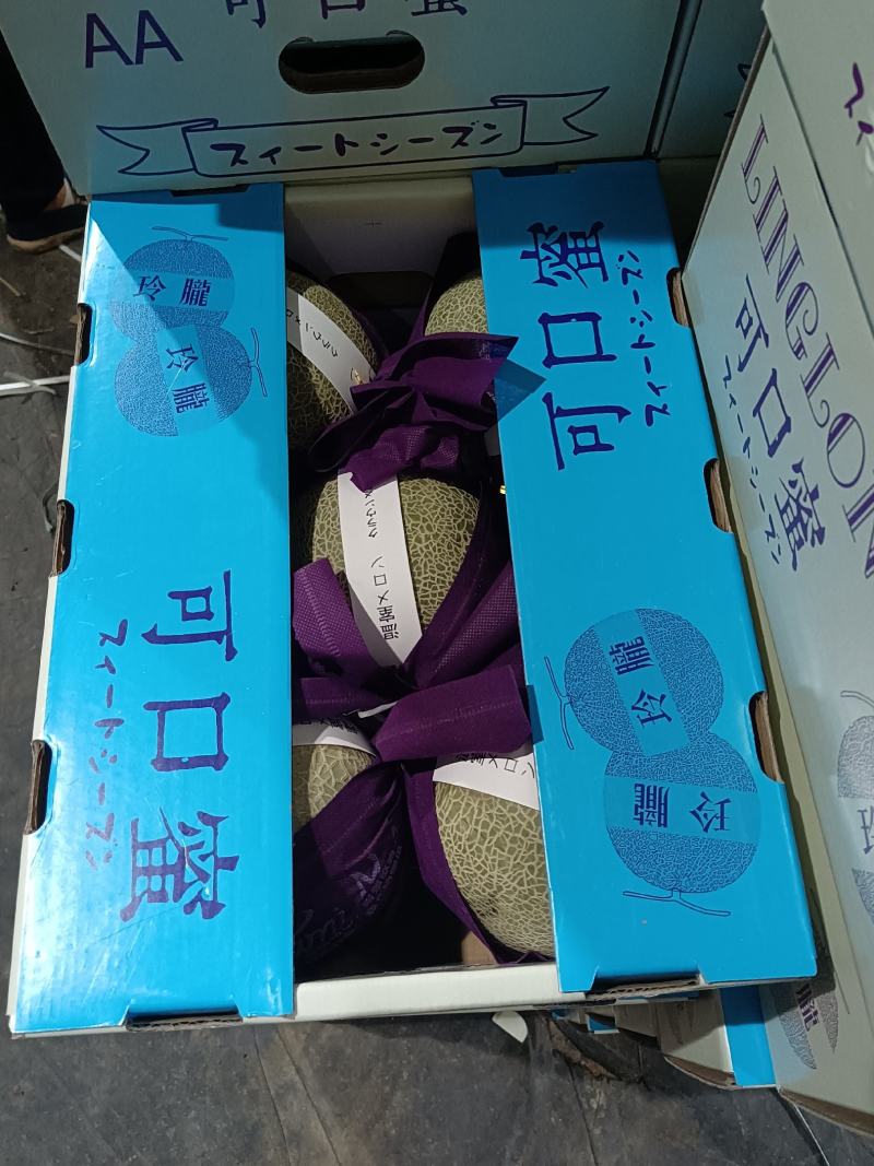 【实力供货】海南玫珑瓜网纹瓜，承接超市，电商一件代发等