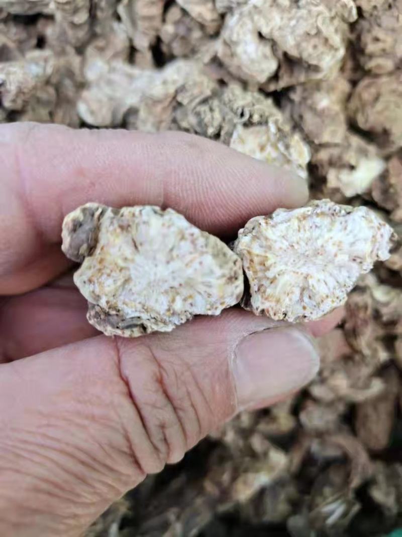 苍术干货朱砂点北苍术辽南条形苍术纯净干货无硫批发
