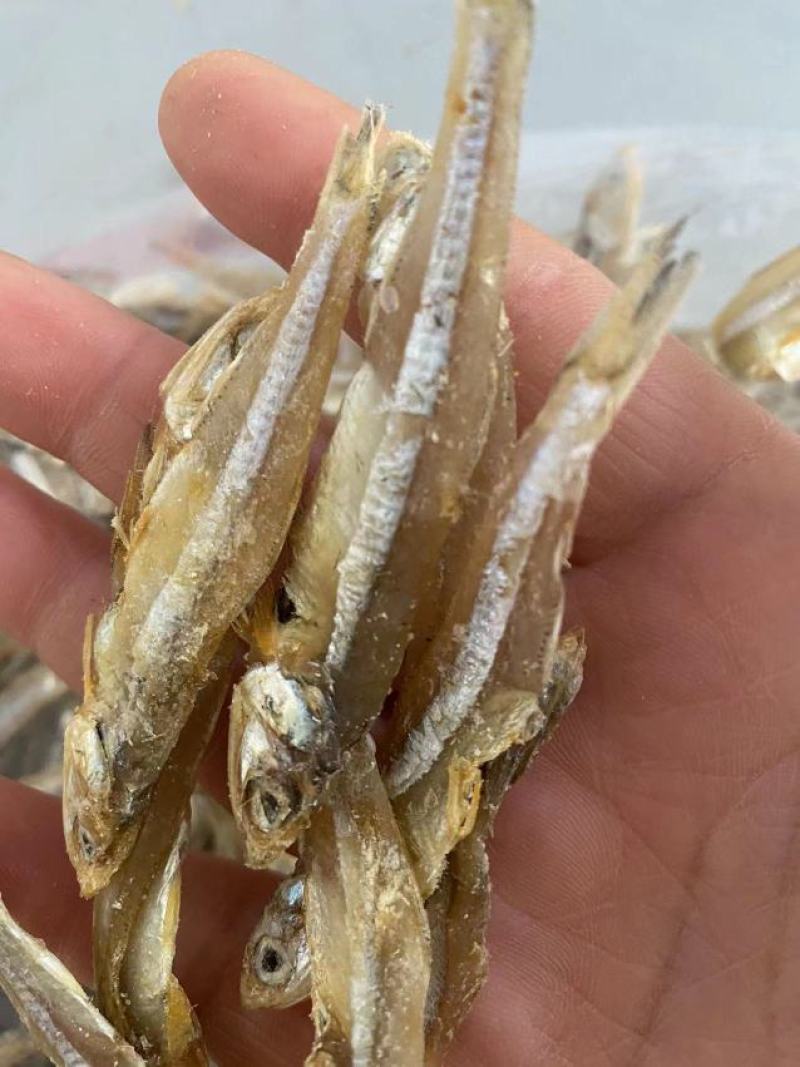 小鱼干江苏连云港直供货量充足品质保证诚信经营