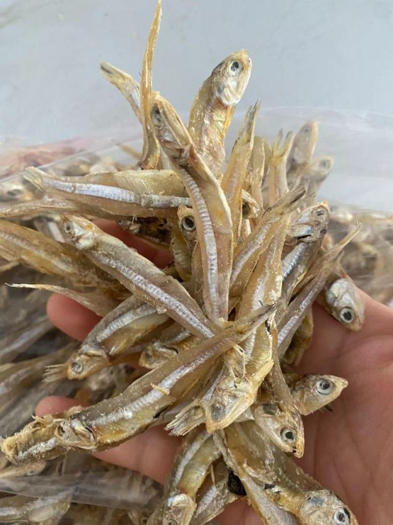 小鱼干江苏连云港直供货量充足品质保证诚信经营
